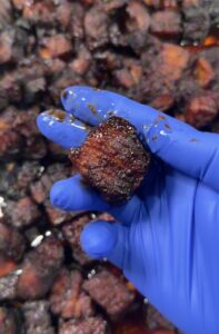 Irresistible Pork Belly Burnt Ends for BBQ Lovers - Cooker of Deliciousness