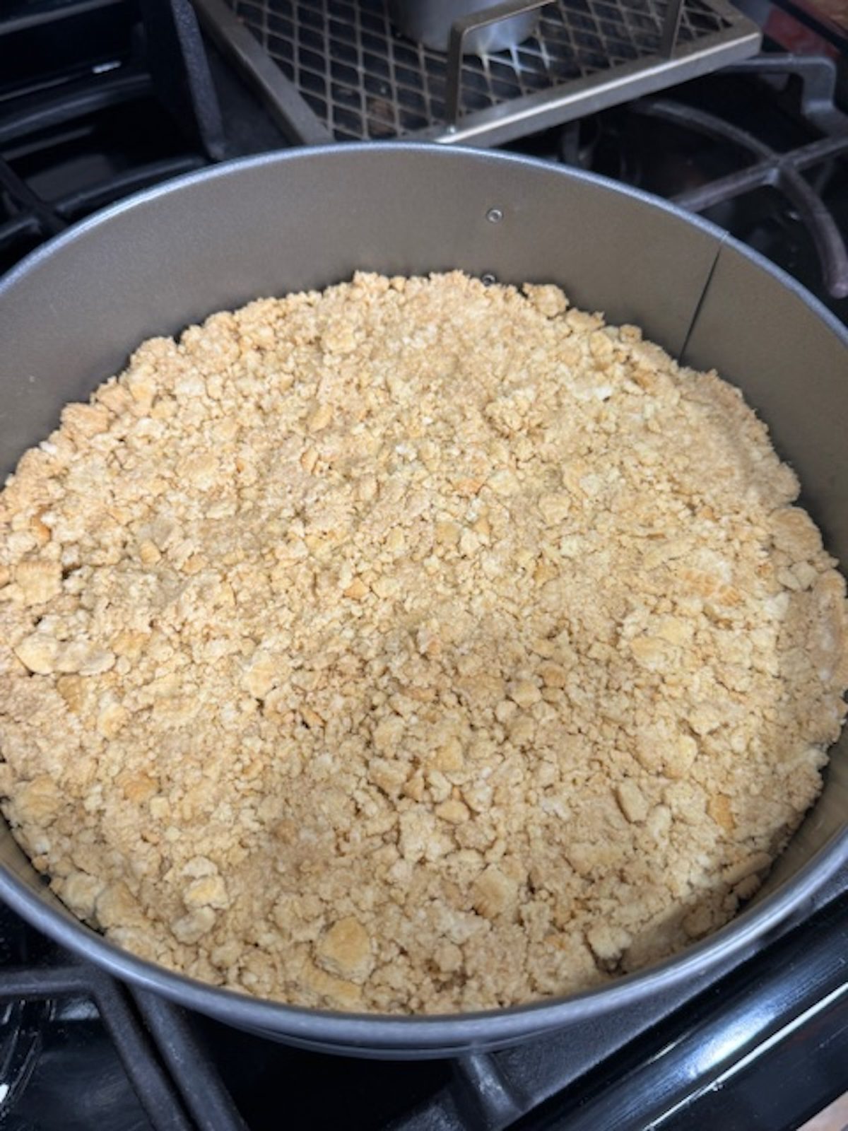 The vanilla cookie crust before pressed into the bottom of a springform pan before baking.
